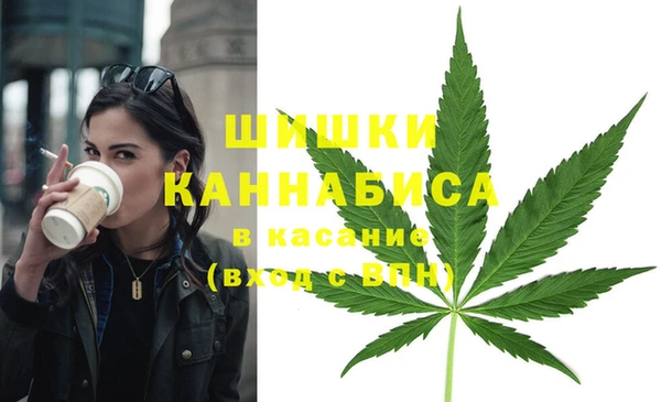 не бодяженный Надым
