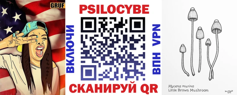 Галлюциногенные грибы Cubensis  omg онион  Россошь 