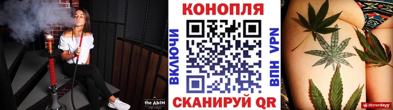 Бошки марихуана OG Kush  Россошь 